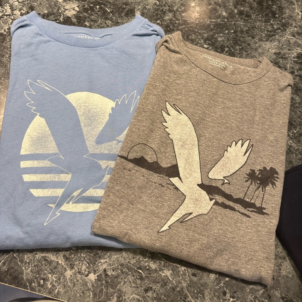 American Eagle men’s extra large T-shirts… One light blue one gray= one price